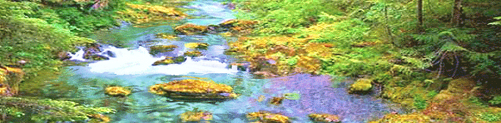 Samson Healthcare services brook