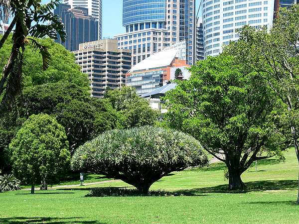 Sydney Parks
